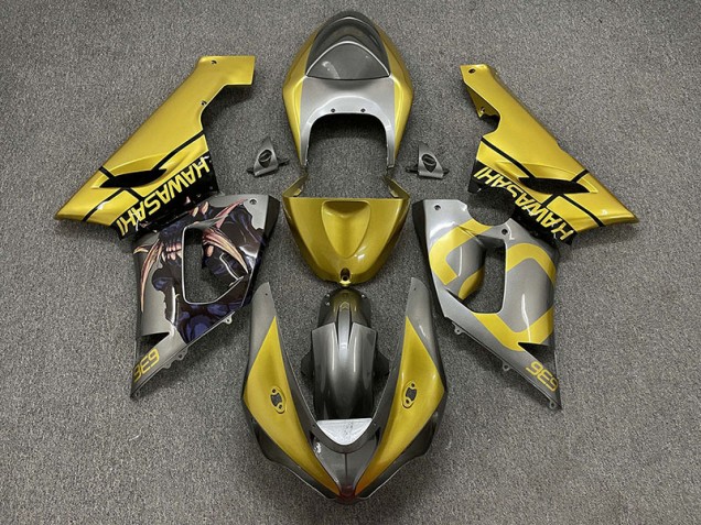 2005-2006 Gold and Silver Kawasaki ZX6R Motorcycle Fairing UK 2005-2006 Gold and Silver Kawasaki ZX6R Motorcycle Fairing UK