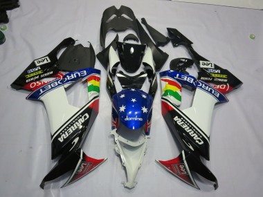 2008-2010 Carrera Kawasaki ZX10R Motorcycle Fairing UK